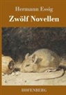 Hermann Essig - Zwölf Novellen