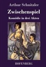 Arthur Schnitzler - Zwischenspiel