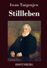 Iwan Turgenjew - Stillleben