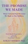 Efrat Shokef - The Promise We Made