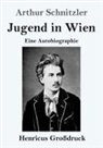 Arthur Schnitzler - Jugend in Wien (Großdruck)