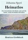 Johanna Spyri - Heimatlos (Großdruck)