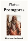 Platon - Protagoras (Großdruck)