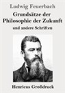 Ludwig Feuerbach - Grundsätze der Philosophie der Zukunft (Großdruck)