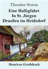Theodor Storm - Eine Halligfahrt / In St. Jürgen / Draußen im Heidedorf (Großdruck)