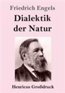 Friedrich Engels - Dialektik der Natur (Großdruck)