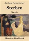 Arthur Schnitzler - Sterben (Großdruck)