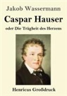 Jakob Wassermann - Caspar Hauser oder Die Trägheit des Herzens (Großdruck)
