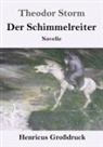 Theodor Storm - Der Schimmelreiter (Großdruck)