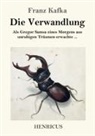 Franz Kafka - Die Verwandlung