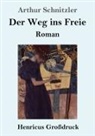 Arthur Schnitzler - Der Weg ins Freie (Großdruck)