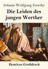 Johann Wolfgang von Goethe - Die Leiden des jungen Werther (Großdruck)