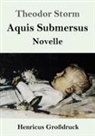 Theodor Storm - Aquis Submersus (Großdruck)