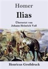 Homer - Ilias (Großdruck)