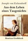 Joseph von Eichendorff - Aus dem Leben eines Taugenichts (Großdruck)