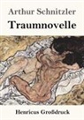 Arthur Schnitzler - Traumnovelle (Großdruck)