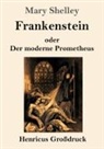 Mary Shelley - Frankenstein oder Der moderne Prometheus (Großdruck)