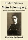 Rudolf Steiner - Mein Lebensgang (Großdruck)