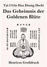Anonym - Tai I Gin Hua Dsung Dschi (Großdruck)