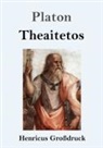 Platon - Theaitetos (Großdruck)