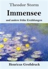 Theodor Storm - Immensee (Großdruck)