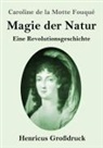 Caroline de la Motte Fouqué - Magie der Natur (Großdruck)