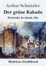 Arthur Schnitzler - Der grüne Kakadu (Großdruck)