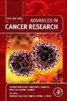 Cerebral Metastases: Translational Advances, Evaluation and Management: Volume 165