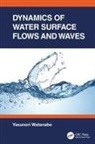Yasunori (Hokkaido University Watanabe, Watanabe Yasunori - Dynamics of Water Surface Flows and Waves