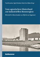 Sigrid Hirbodian, Edwin Ernst Weber, Frank Brunecker, Edwin Ernst Weber u a, Gesellschaft Oberschwaben für Geschichte und Kultur e. V., Sigrid Hirbodian... - Vom agrarischen Hinterland zur industriellen Boomregion