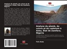 Felix Buba - Analyse du plomb, du cuivre et du cadmium à Anka, État de Zamfara, Nigeria