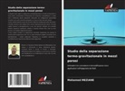 Mohamed MEZIANE - Studio della separazione termo-gravitazionale in mezzi porosi