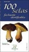 Jaume Sañé Pons - 100 setas fácilmente identificables