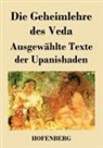 Anonym - Die Geheimlehre des Veda
