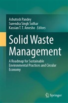 Kassian T.T. Amesho, Ashutosh Pandey, Surendra Singh Suthar, Surendra Singh Suthar, Kassian T T Amesho, Kassian T.T. Amesho - Solid Waste Management