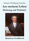 Johann Wolfgang von Goethe - Aus meinem Leben. Dichtung und Wahrheit (Großdruck)