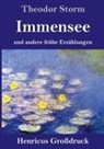 Theodor Storm - Immensee (Großdruck)