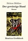Helene Böhlau - Der gewürzige Hund (Großdruck)