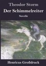 Theodor Storm - Der Schimmelreiter (Großdruck)