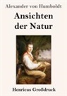Alexander von Humboldt - Ansichten der Natur (Großdruck)