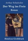 Arthur Schnitzler - Der Weg ins Freie (Großdruck)
