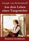 Joseph von Eichendorff - Aus dem Leben eines Taugenichts (Großdruck)