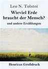 Leo N. Tolstoi - Wieviel Erde braucht der Mensch? (Großdruck)