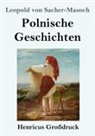 Leopold von Sacher-Masoch - Polnische Geschichten (Großdruck)