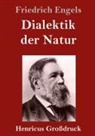 Friedrich Engels - Dialektik der Natur (Großdruck)