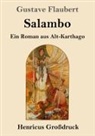 Gustave Flaubert - Salambo (Großdruck)