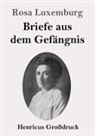 Rosa Luxemburg - Briefe aus dem Gefängnis (Großdruck)
