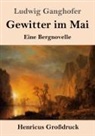 Ludwig Ganghofer - Gewitter im Mai (Großdruck)