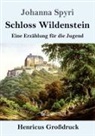 Johanna Spyri - Schloss Wildenstein (Großdruck)