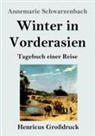 Annemarie Schwarzenbach - Winter in Vorderasien (Großdruck)